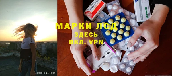 ПСИЛОЦИБИНОВЫЕ ГРИБЫ Елизово