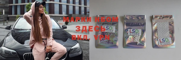 2c-b Ельня