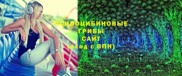 ПСИЛОЦИБИНОВЫЕ ГРИБЫ Елизово