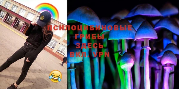 2c-b Ельня