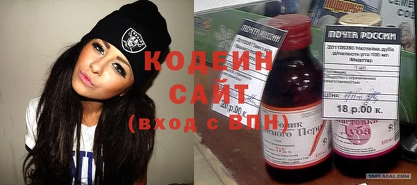 2c-b Ельня