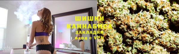 ПСИЛОЦИБИНОВЫЕ ГРИБЫ Елизово