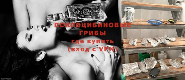 гашик Елабуга