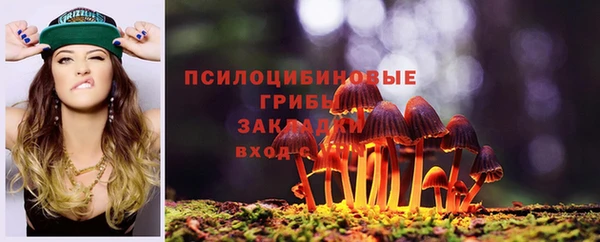 гашик Елабуга