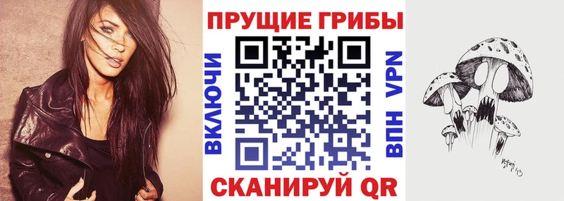 Галлюциногенные грибы Psilocybine cubensis Купить Петушки